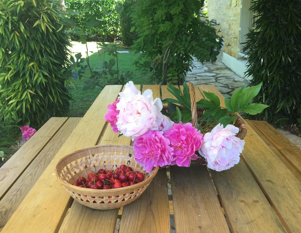 Espere Le Balcon Des Jasses B&B 외부 사진