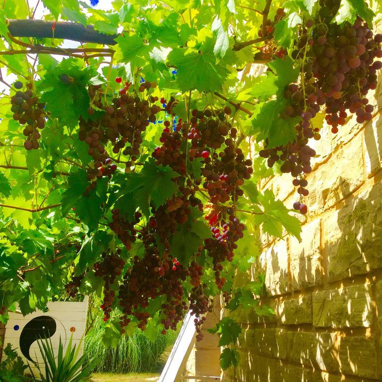 Espere Le Balcon Des Jasses B&B 외부 사진